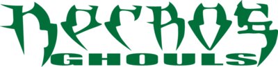 NG Logo Orig Green
