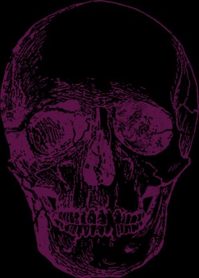 PurpleSkull