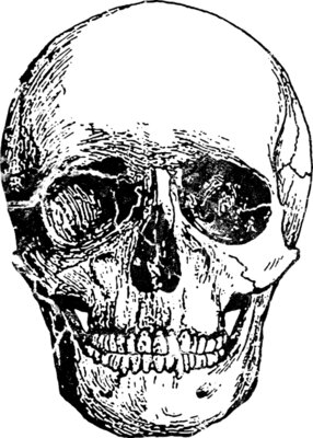 BlackSkull