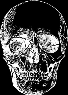 WhiteSkull